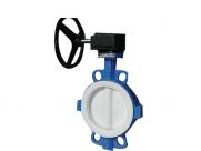 PTFE lined butterfly valve (with wormgear)